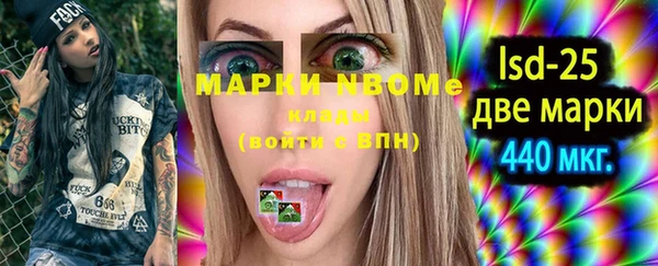 прущий лед Инсар