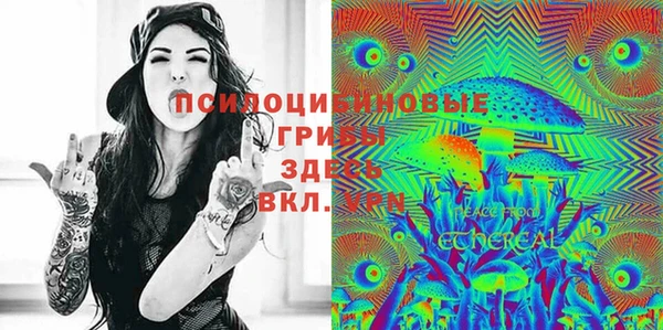герыч Алзамай